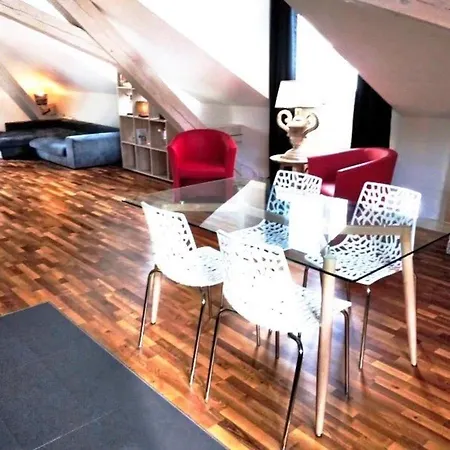Loft Artistique Centre Ville Lausanne